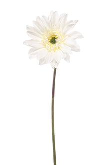 Emerald Kunstbloem Gerbera REC wit 63cm