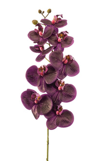 Emerald Kunstbloem Phalaenopsis RT 95cm paars