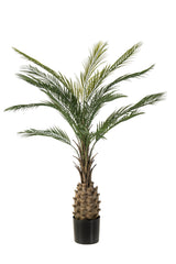 Grote kunstplanten