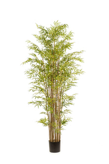 Emerald Kunstplant Bamboe Japanese Multi 210cm