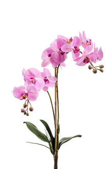 Emerald Kunstplant Phalaenopsis RT 65cm roze