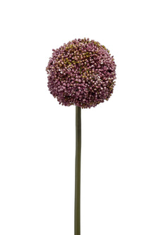 Emerald Kunstbloem Allium 75cm paars