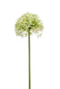 Emerald Kunstbloem Allium 62cm groen