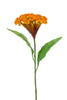 Emerald Kunstbloem Celosia 62cm geel/oranje