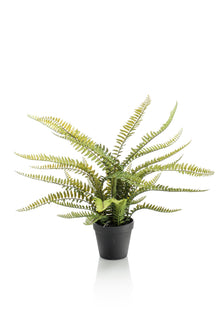 Emerald Kunstplant in pot Varen Boston 55cm