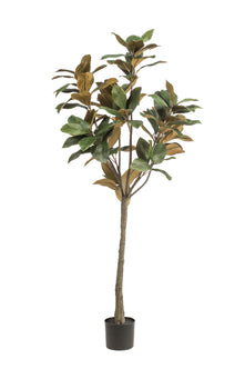 Emerald Kunstboom Magnolia Denudata 150cm