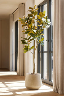 Emerald Kunstboom Magnolia Denudata 240cm