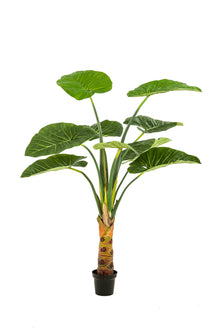 Emerald Kunstplant Alocasia 160cm