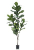 Emerald Kunstboom Ficus Lyrata 150cm