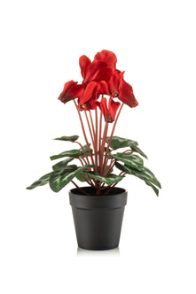 Emerald Kunstplant Cyclamen in pot  30cm rood