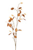 Emerald Kunstbloem Judaspenning 120cm bruin