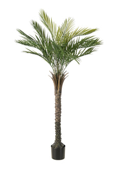 Emerald Kunstboom Palm UV 150cm