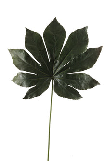 Emerald Kunsttak Fatsia Blad 55cm