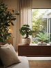 Emerald Kunstplant Bonsai Ficus mini 32cm