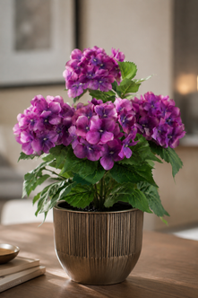 Emerald Kunstplant in pot Hortensia wit 40cm