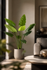 Emerald Kunstplant Philodendron 120cm groen
