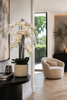 Emerald Kunstplant in pot Phalaenopsis wit 100cm