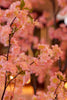 Emerald Kunstboom Kersenbloesem 175cm roze
