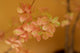 Emerald Kunstboom Tropaeolum 210cm