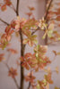 Emerald Kunstboom Tropaeolum 210cm