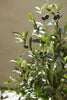 Emerald Kunstboom Olijfboom 140cm
