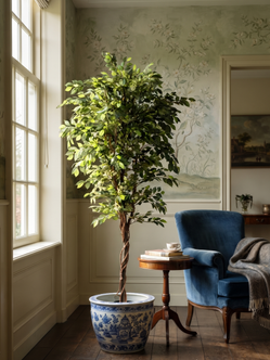 Emerald Kunstboom Ficus Deluxe Vine 200cm
