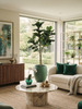 Emerald Kunstboom Ficus Lyrata 300cm