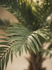 Emerald Kunstboom Palm UV 180cm