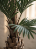 Emerald Kunstboom Palm UV 180cm