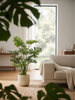 Emerald Kunstplant Philodendron Selloum 125cm