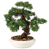 Kunst Bonsai