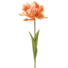 Kunst Tulp