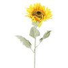 Kunst Zonnebloem