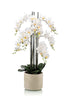 Emerald Kunstplant in pot Phalaenopsis wit 100cm