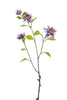 Emerald Kunstbloem Clematis paars 75cm