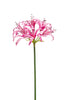 Emerald Kunstbloem Nerine roze 75cm