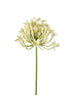 Emerald Kunstbloem Agapanthus wit 75cm