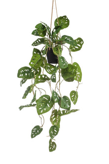 Emerald Kunst Hangplant in pot Monstera Monkey 80cm